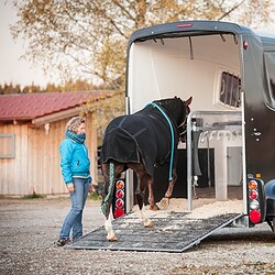 Pferdeverhaltenstrainer Ausbildung an der ATN Akademie - Verladetraining am Pferdeanhänger mit Pferd und Trainerin Pferdeverhaltenstrainer Ausbildung an der ATN Akademie - Verladetraining am Pferdeanhänger mit Pferd und Trainerin