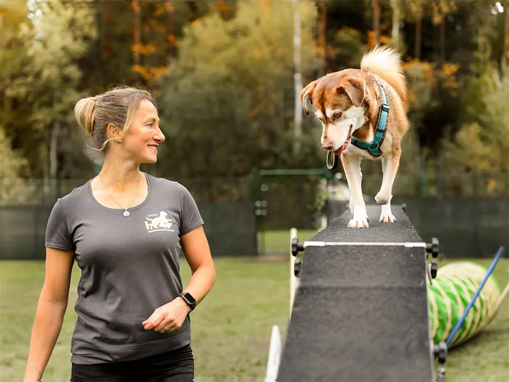 Hundetrainer Ausbildung ATN - Trainerin mit Hund auf Brücke balancierend