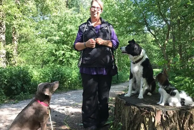 Hundetrainerin mit drei Hunden im Wald. Einer sitzt auf Boden, die anderen auf Baumstamm.