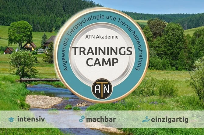 Präsenztage Hundetrainer Ausbildung ATN im Camp
